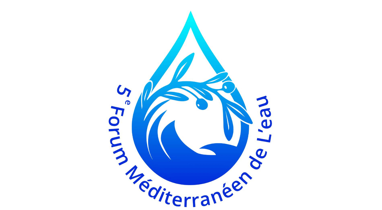 Our Mediterranean: water challenges and regional priorities for 2050